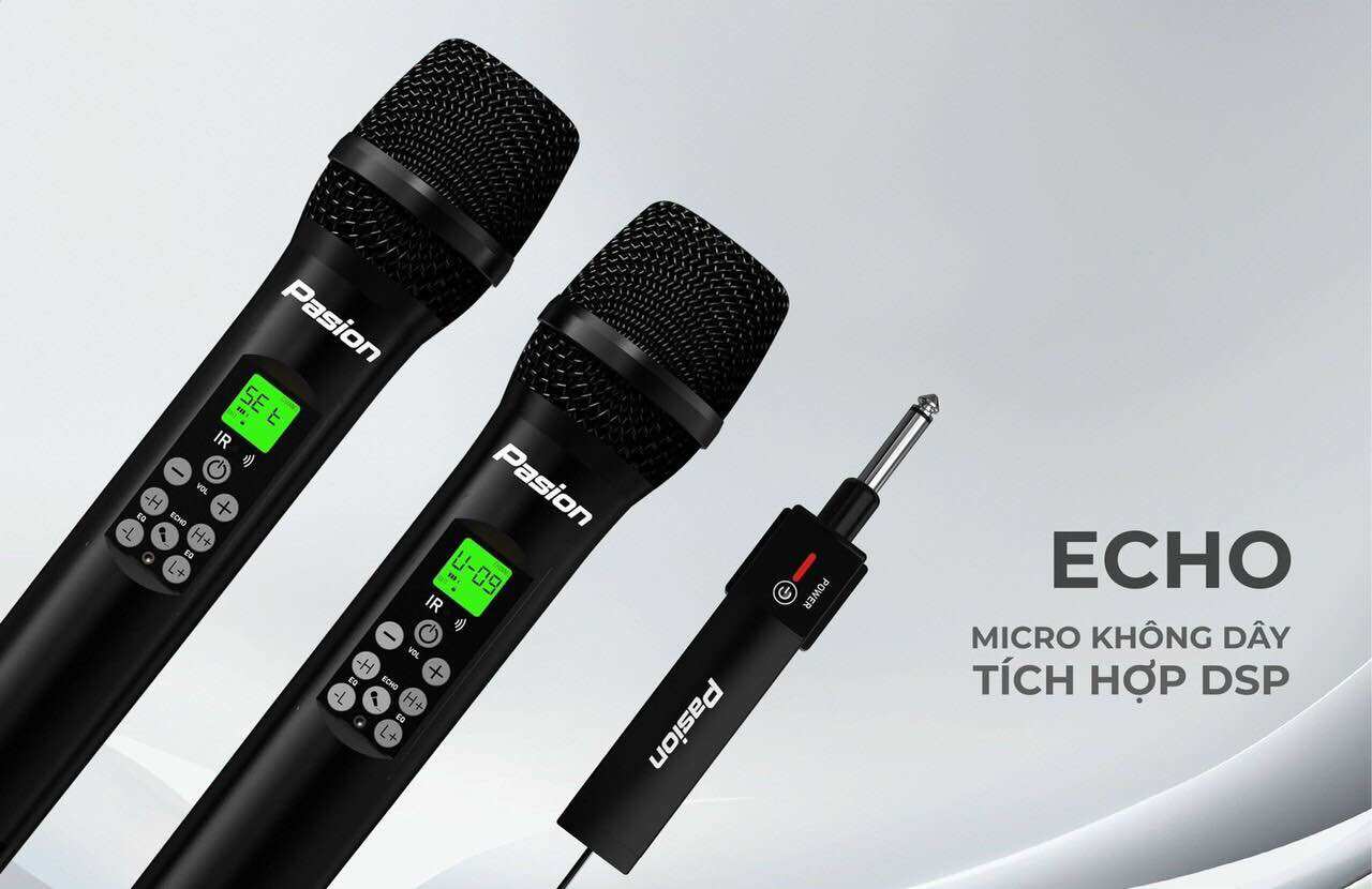 Micro karaoke không dây DSP Paramax Pasion Echo