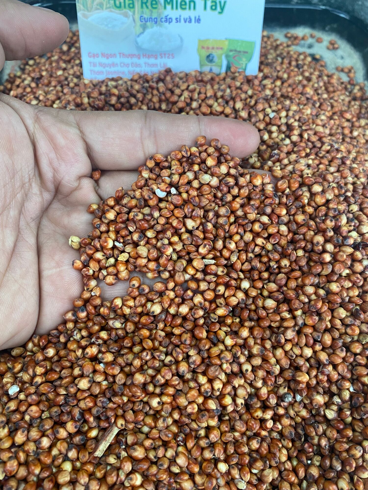 1kg hạt bo bo đỏ dành cho gà, chim kiểng, hamster …