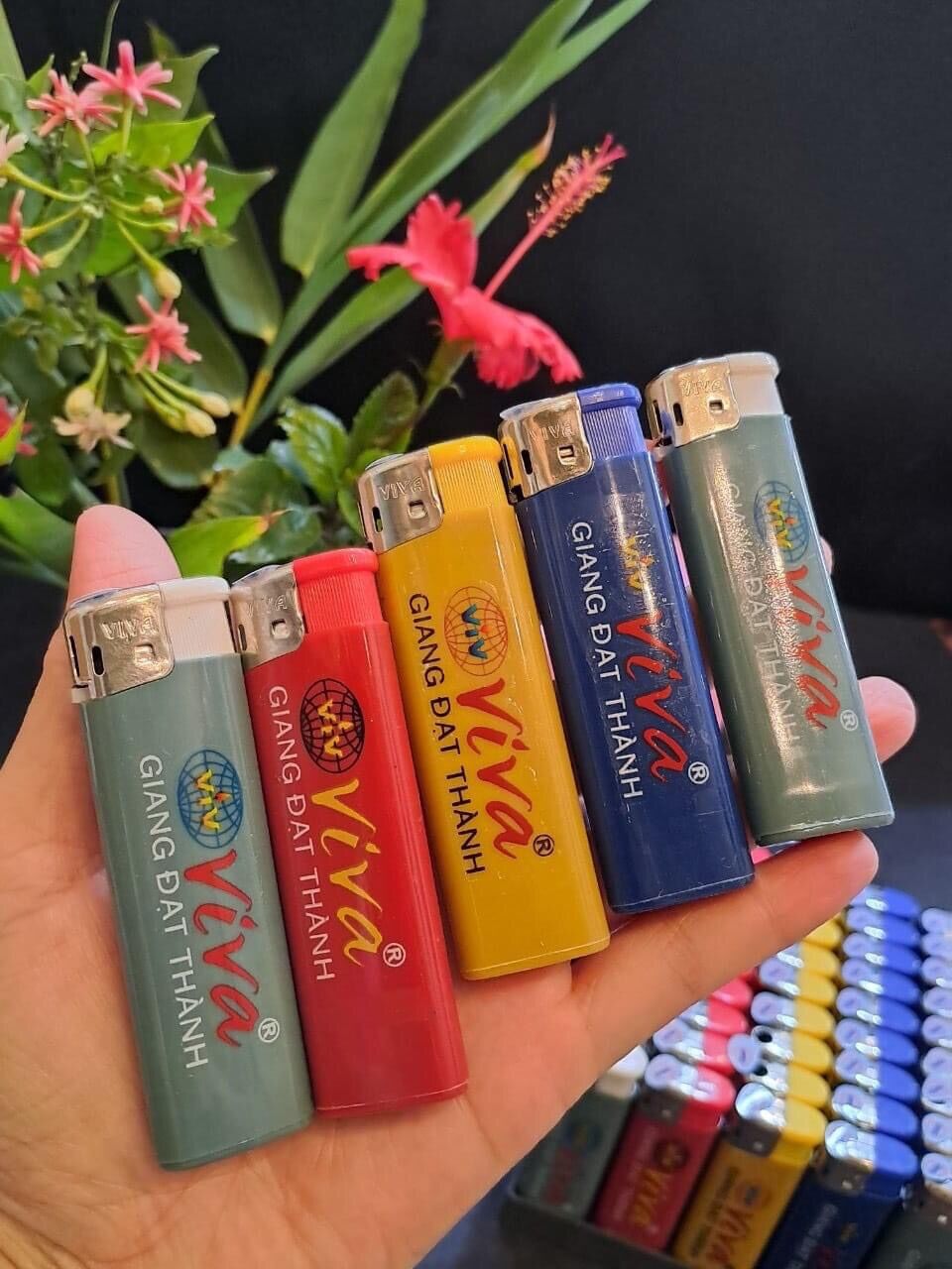 50 bật táo bấm ViVa Giang Đạt Thành nhiều màu ( nhiều lựa chọn )