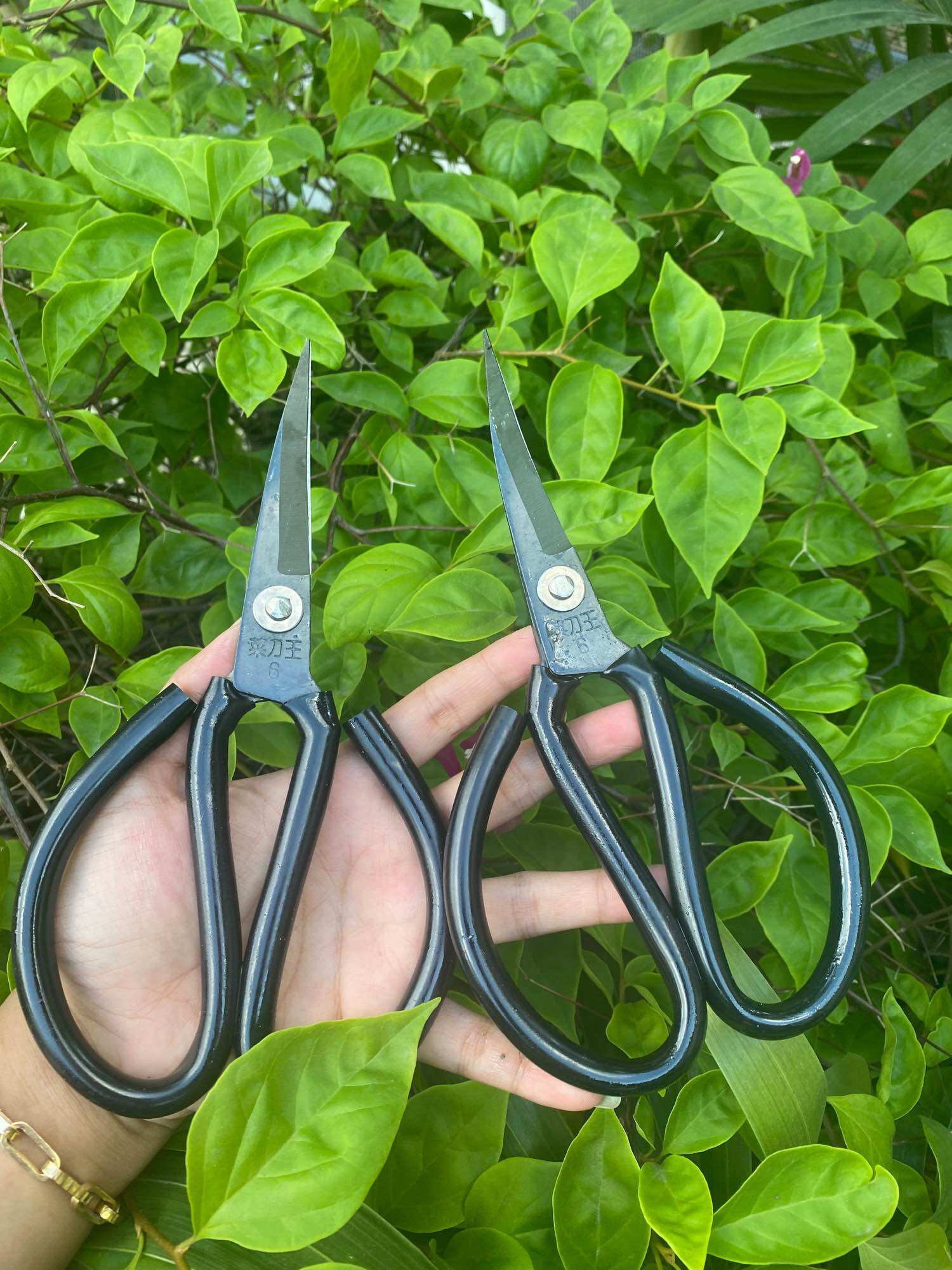Kéo mũi cong lưỡi Thép đen - Mẫu cán đen 20cm