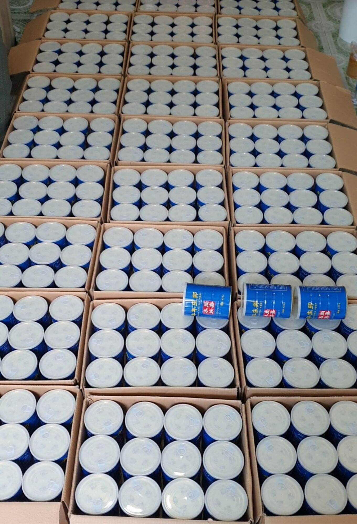 Artemia Lon Xanh , Vàng Ấp Nở ( 50G )
