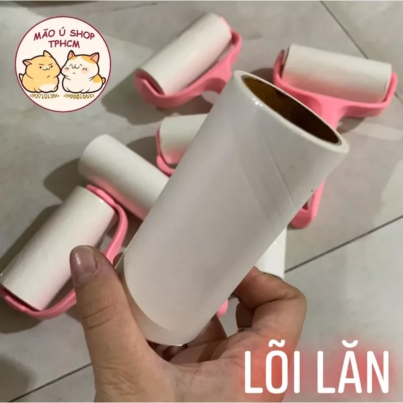Cây lăn lông - cây lăn bụi kèm lõi.