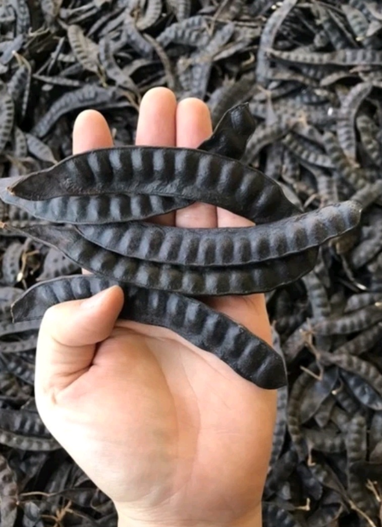 Bồ kết khô 500g