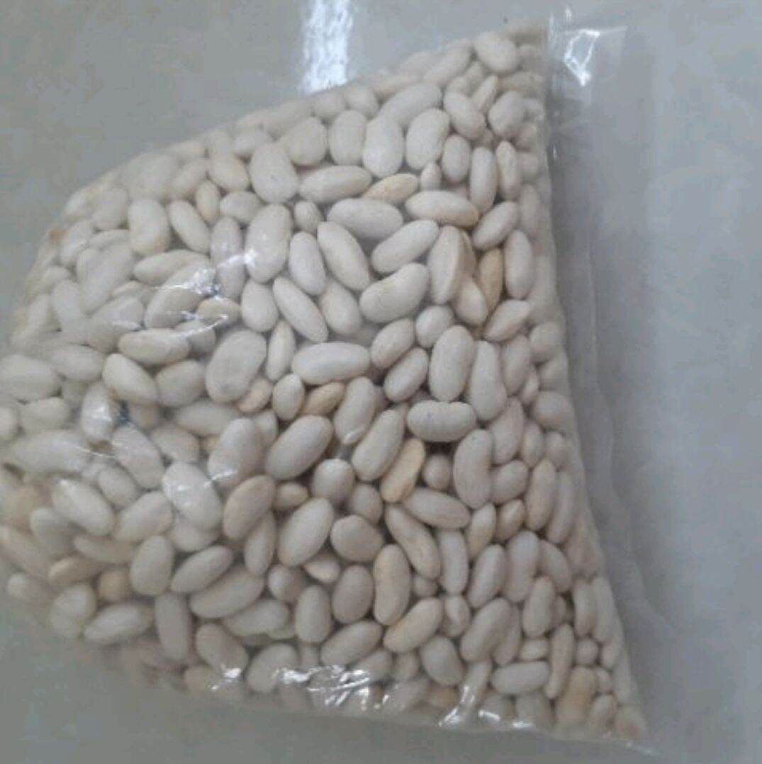 Đậu trắng hạt dài (đậu tây trắng)