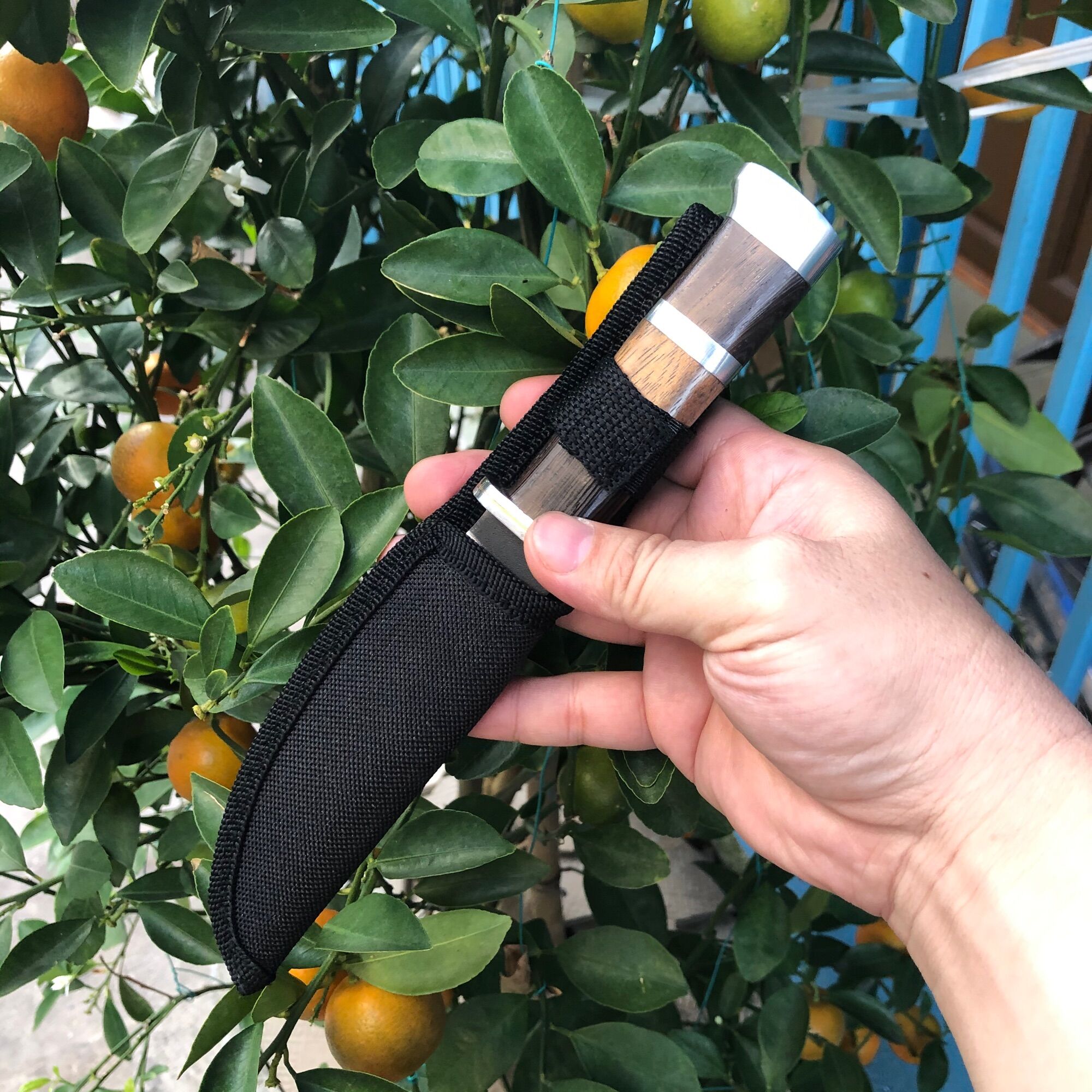 Dao gọt hoa quả rất đẹp, có bao đựng, dài 22cm, dày 2.5 li, cán gỗ, không rỉ