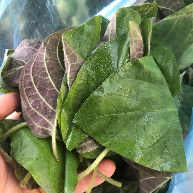 Lá mơ 500g