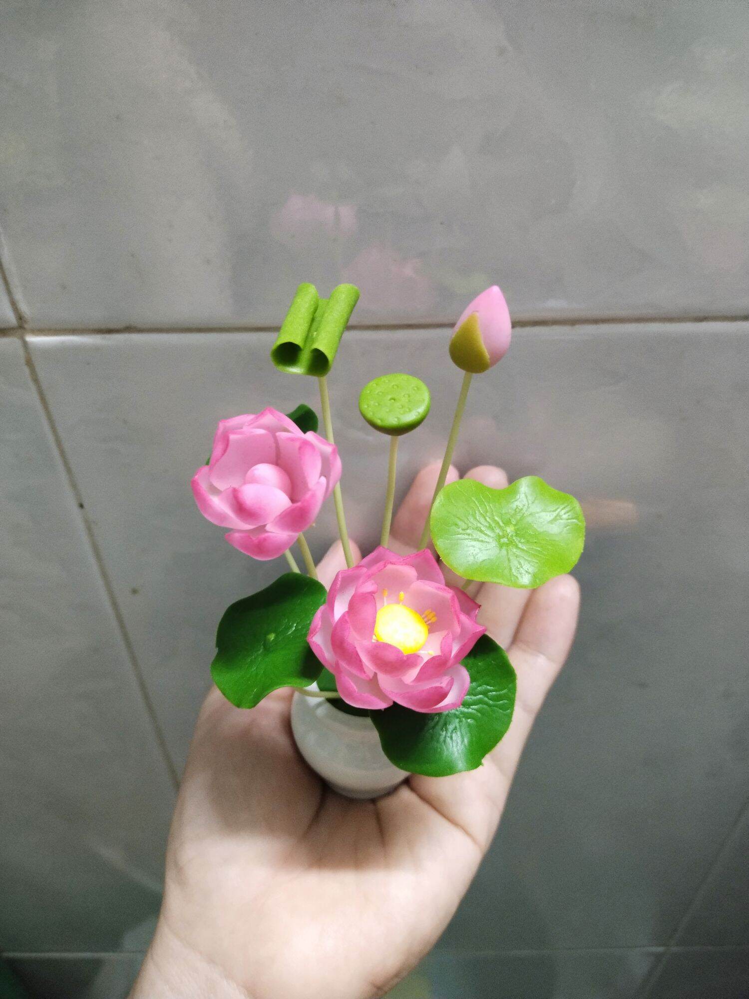 Chậu hoa sen mini cao 12 đến 13 cm