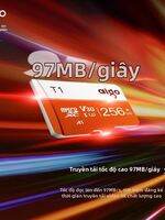Thẻ Nhớ TF Tốc Độ Cao Cho Ghi 4K và Giám Sát 128GB