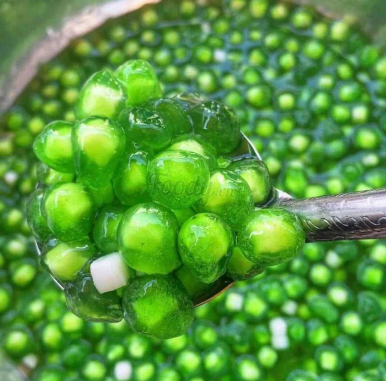 TRÂN CHÂU DỪA LÁ DỨA GIAO HOẢ TỐC