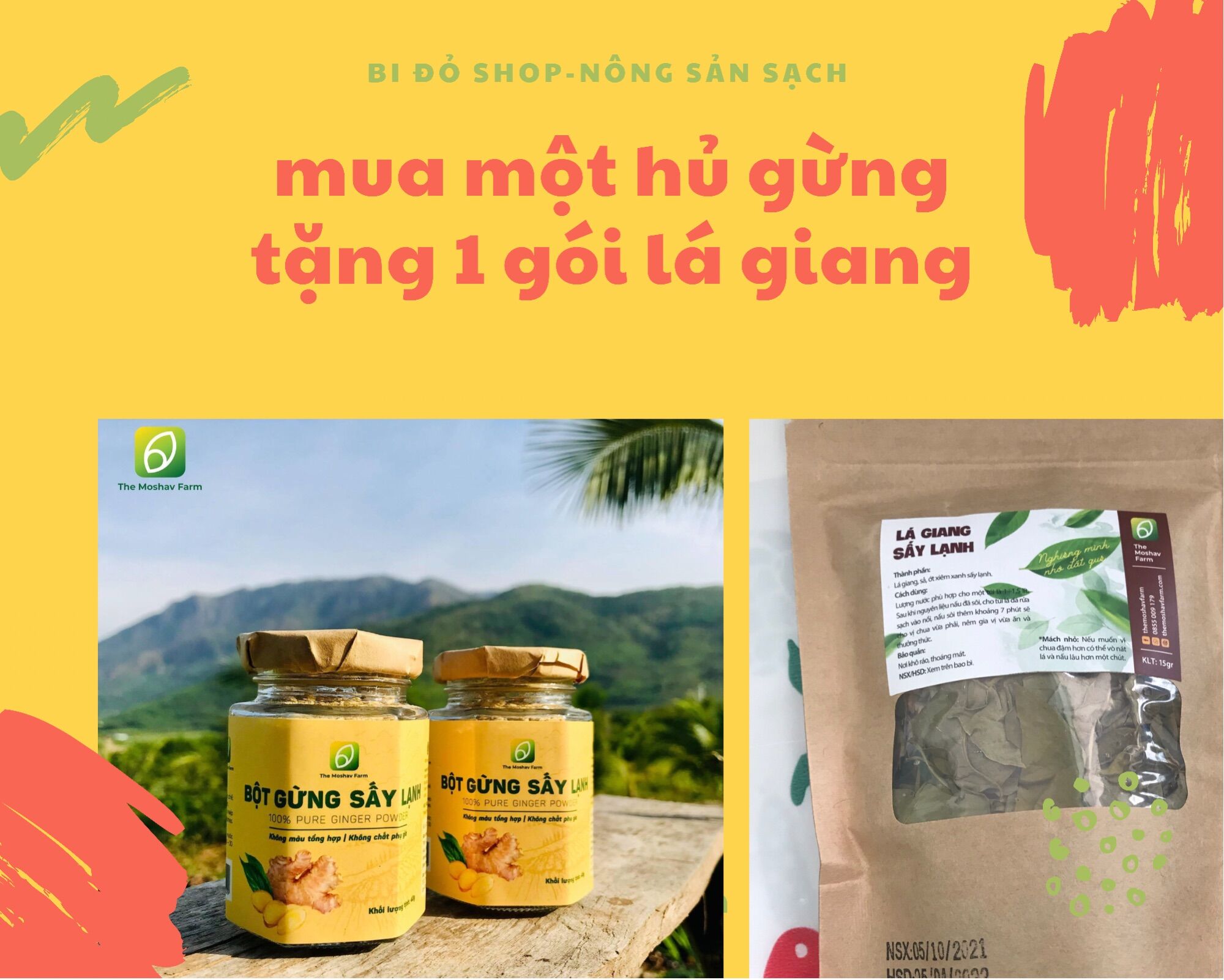 Bột gừng sấy lạnh the moshav farm 40gr hữu cơ