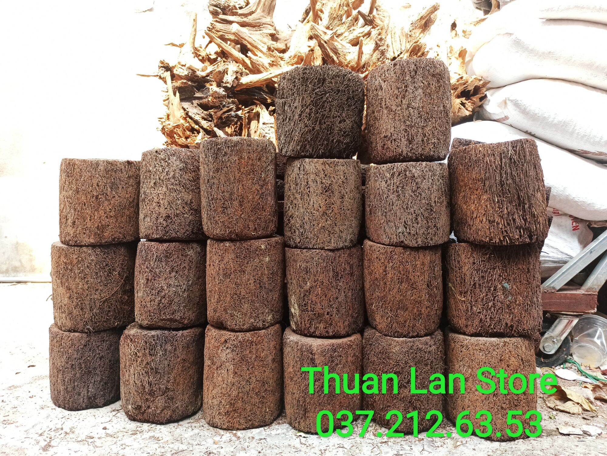 Dớn Trụ Trồng Lan Dày Đẹp Dài 20×20cm