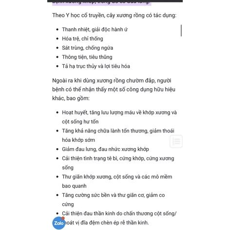 xương rồng ba cạnh ( xương rồng ông)