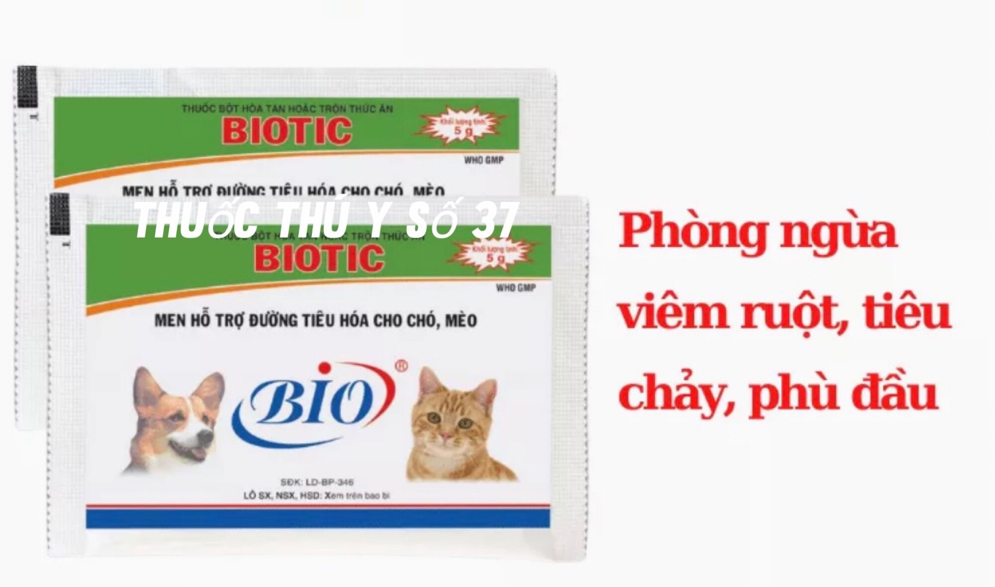 10 gói men tiêu hoá chó mèo 5g.