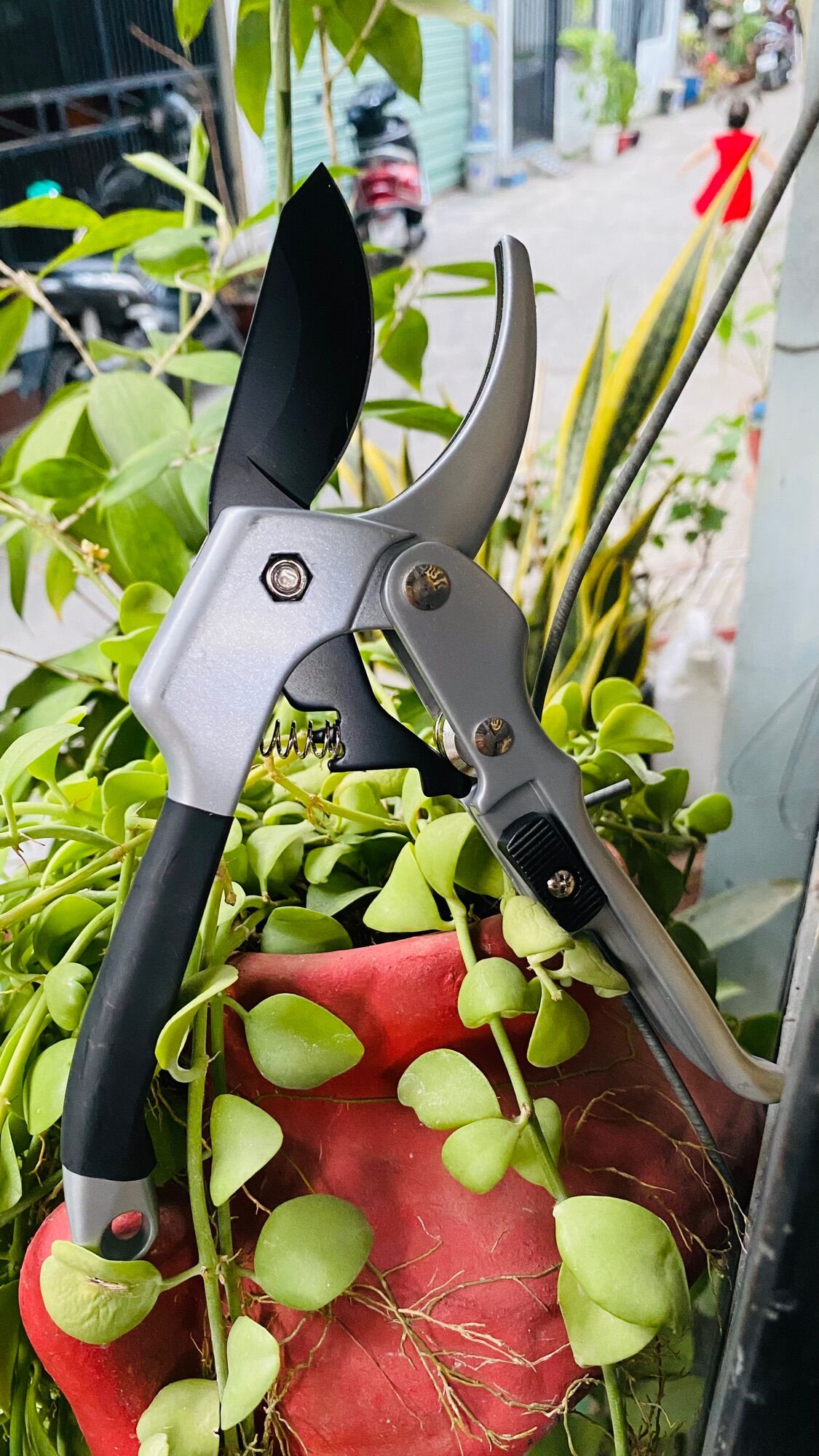 Kéo cắt cành cộng lực SK5 Nhật siêu sắc bén
