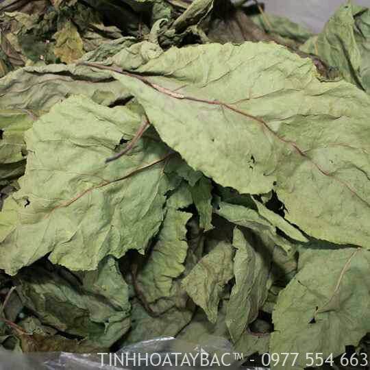 500g lá đắng