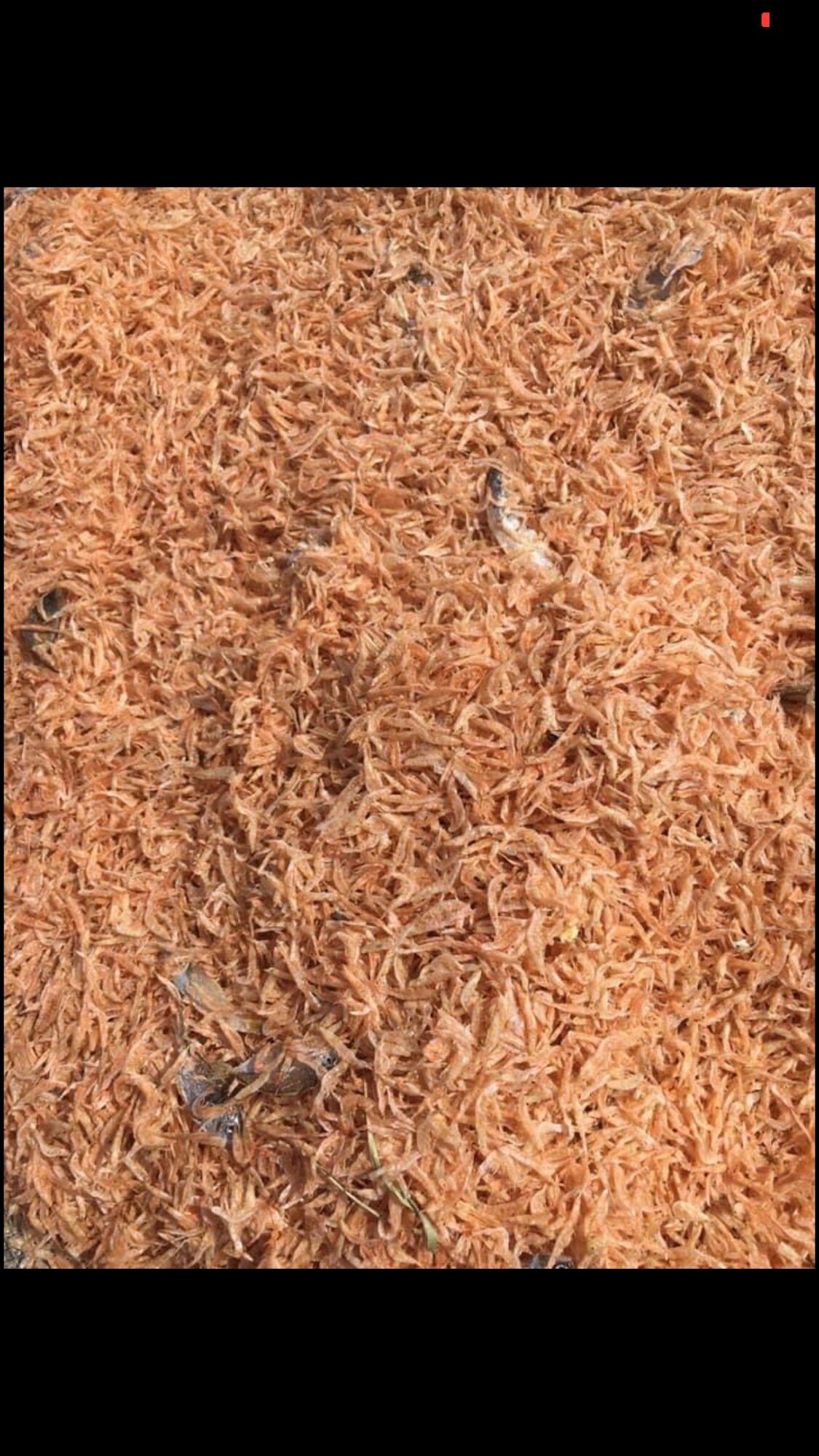 300gr Tép Biển Khô (Loại 1)