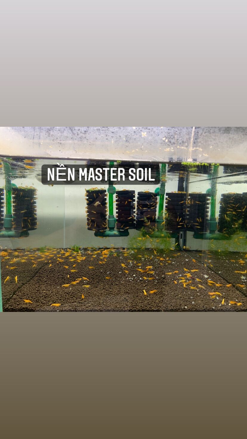 Master Soil Phân Nền 3L cho Freshwater
