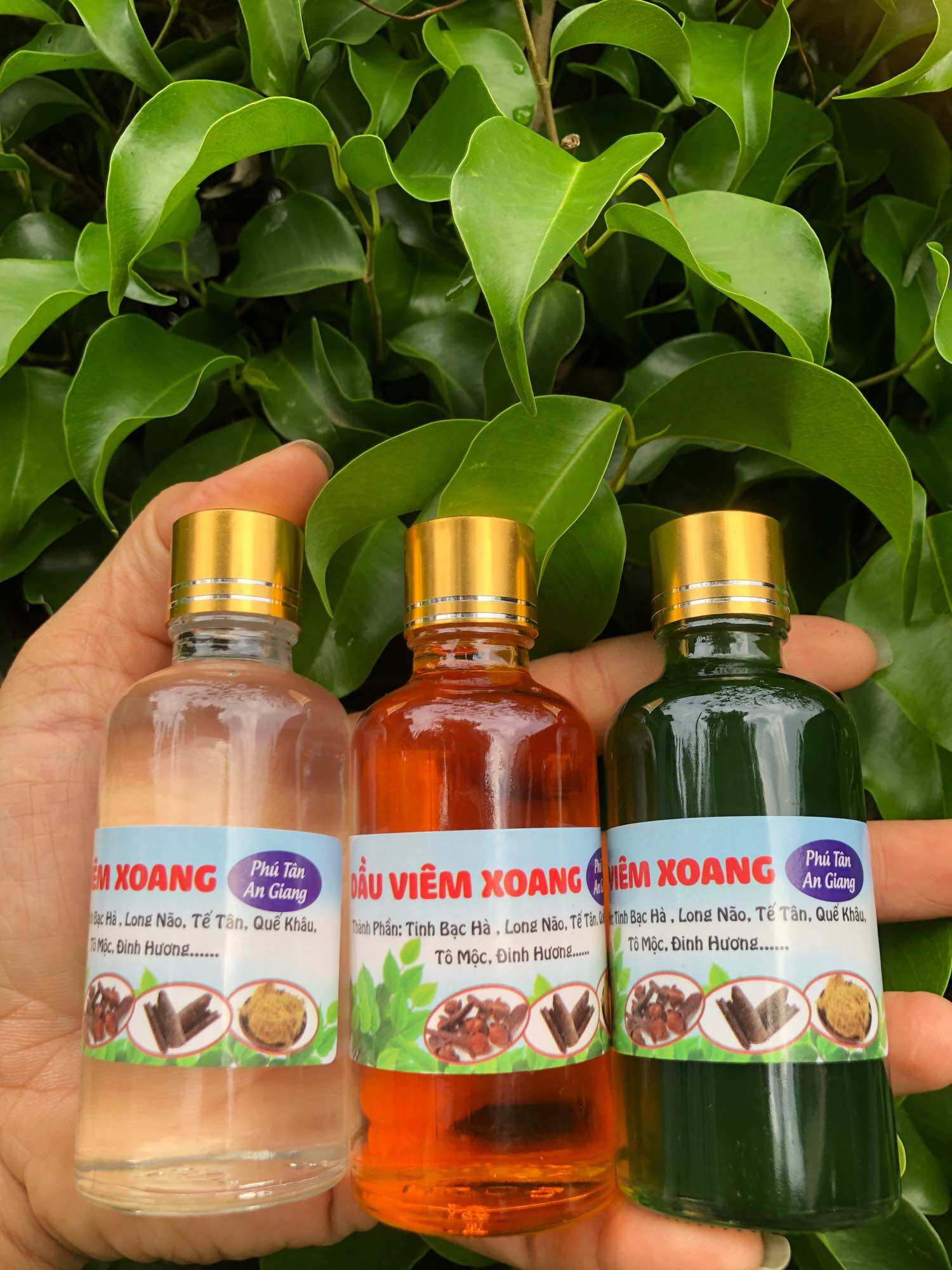 DẦU VIÊM XOANG XANH 50ML