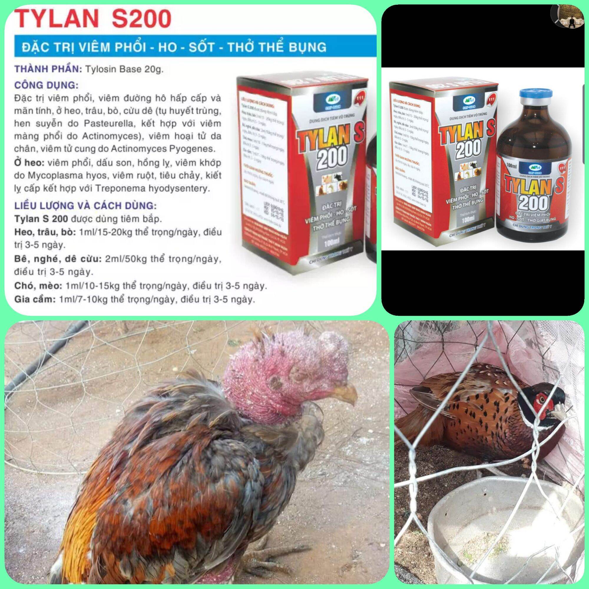 Tylan S 200 đặc tr..ị viêm phổi khò khè sốt thở giật bụng cho gà và gia súc( lọ 20cc)