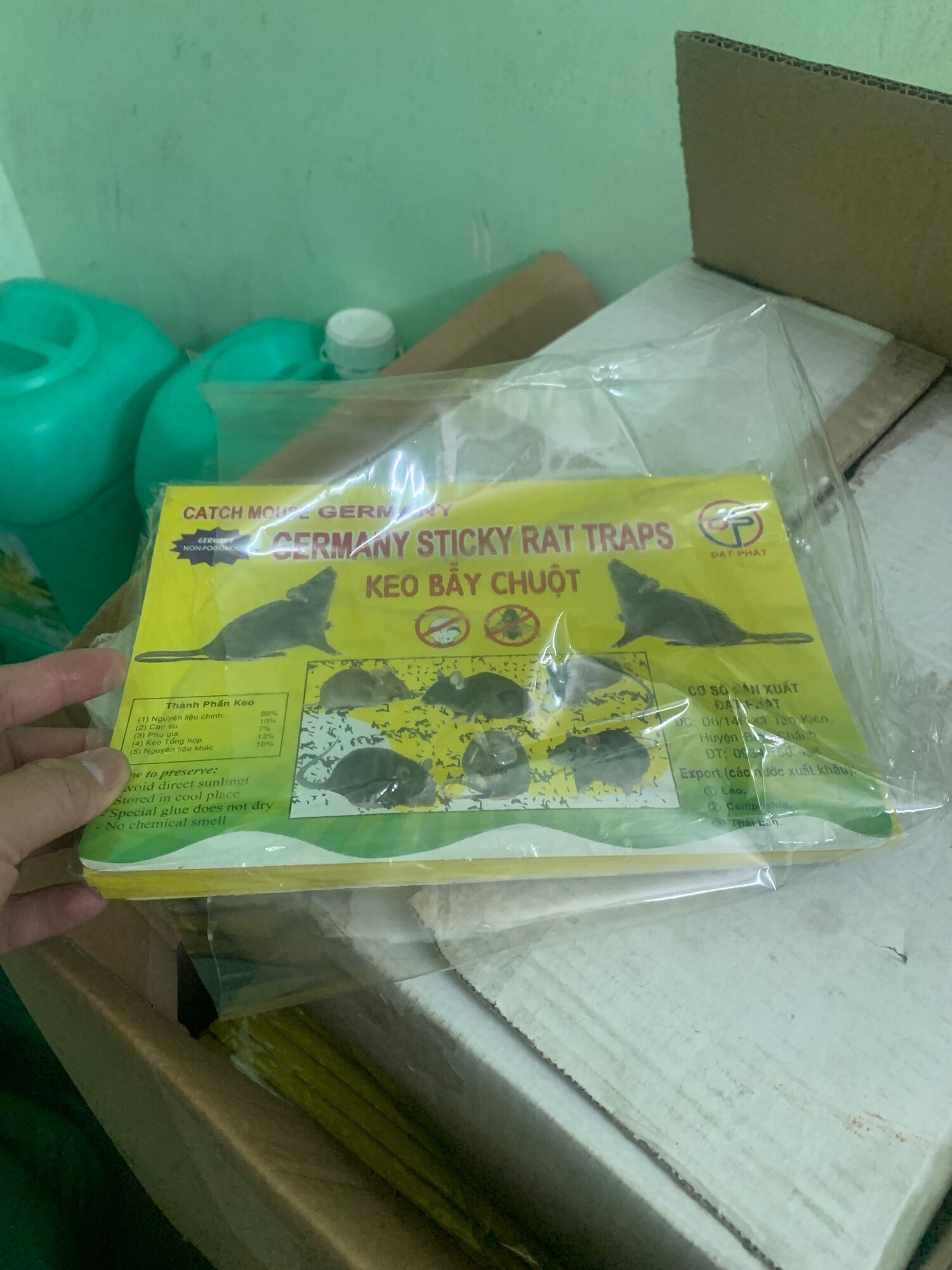 Keo dán chuột đại phát 1 miếng