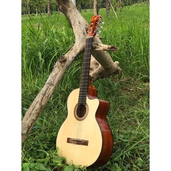 (Miễn Phí Ship) Đàn guitar classic gỗ hồng đào dáng khuyết