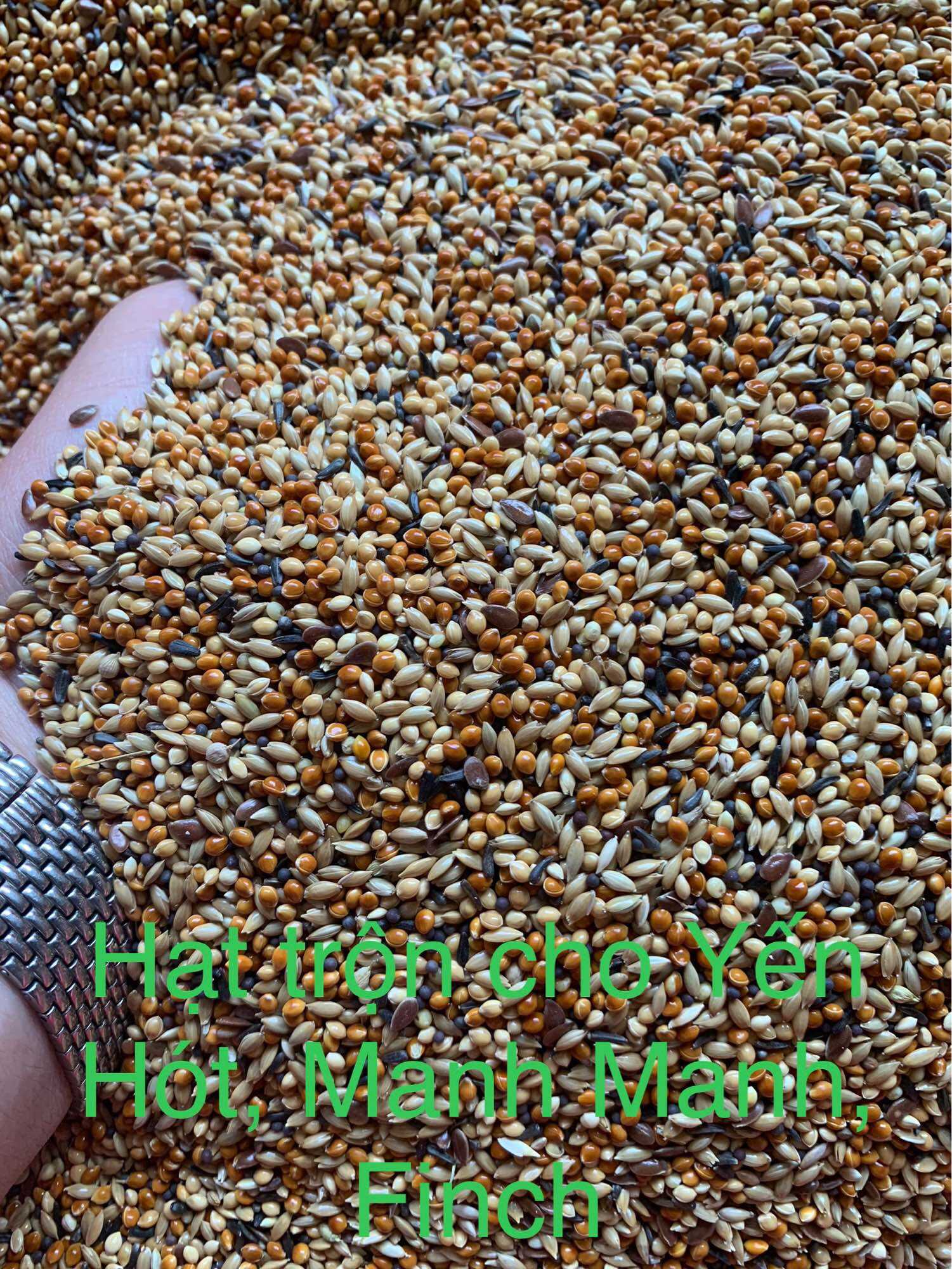 Hạt trộn cho chim yến hót có kê gói 1kg