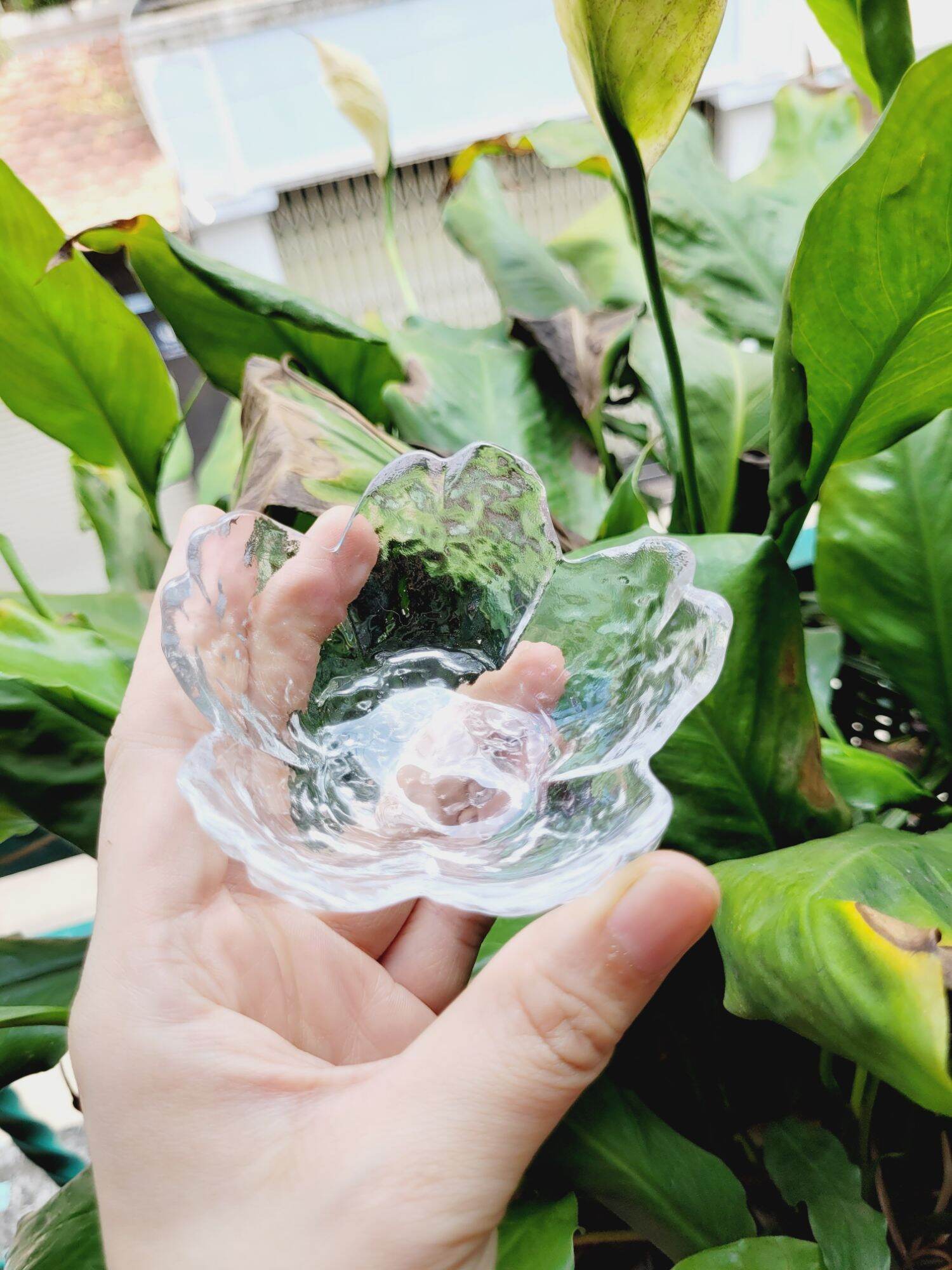 Chén Hoa Anh Đào Thủy Tinh 8.5cm Kiểu Đẹp