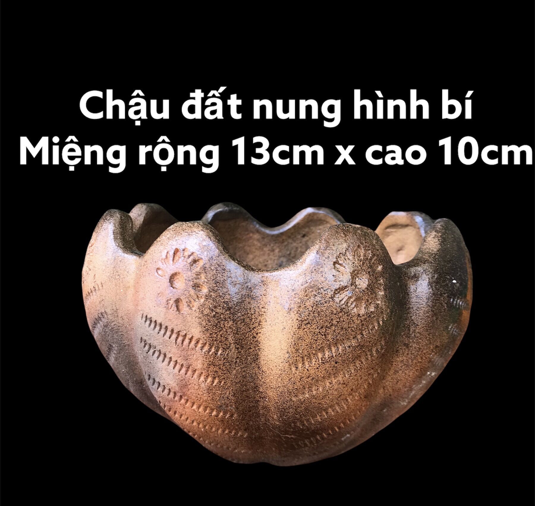 Chậu đất nung Bàu Trúc