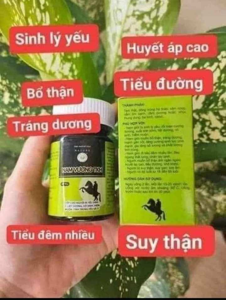 Nam vương trần kim huyền