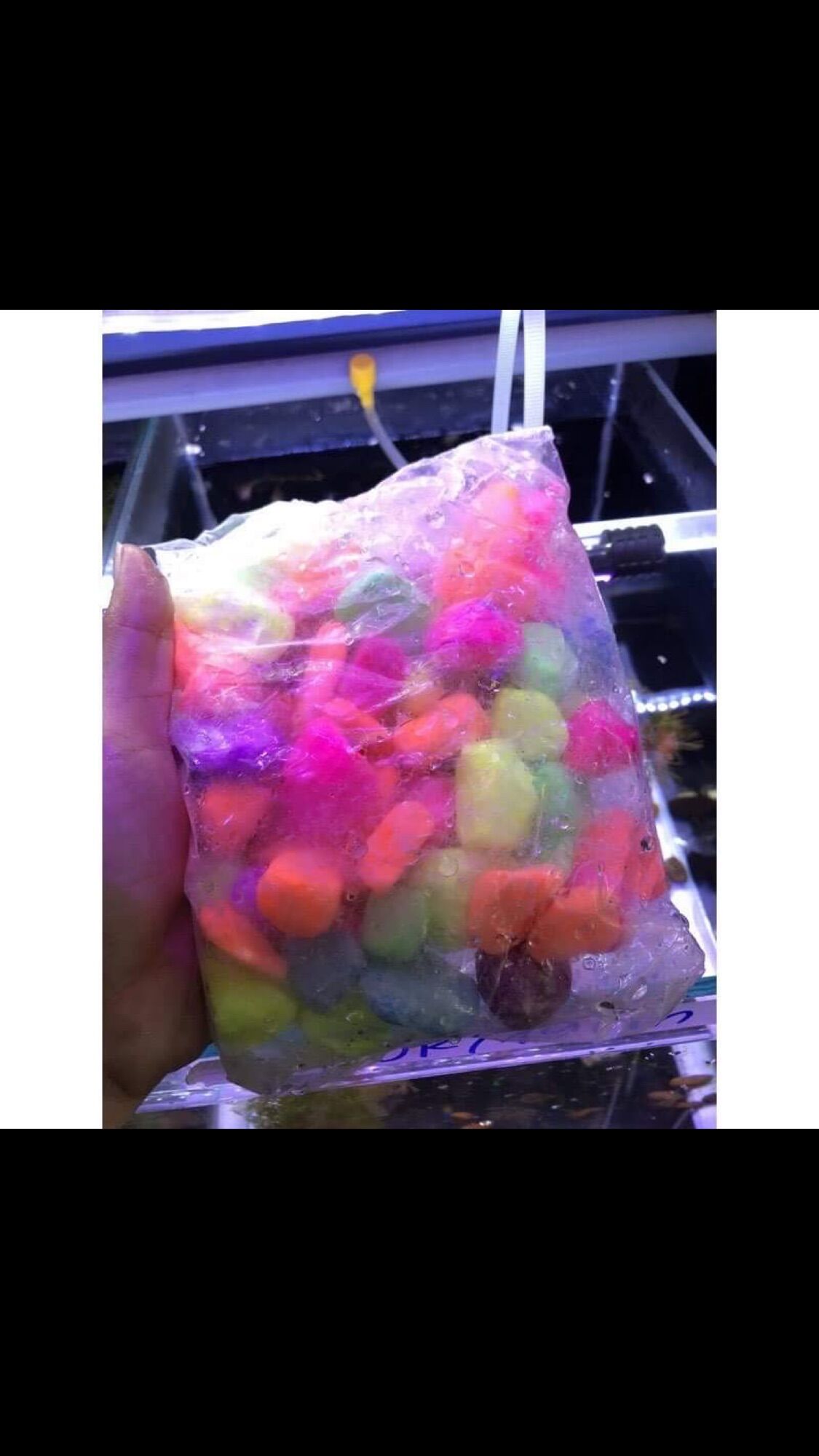 1 bịch sỏi màu trang trí hồ cá cảnh