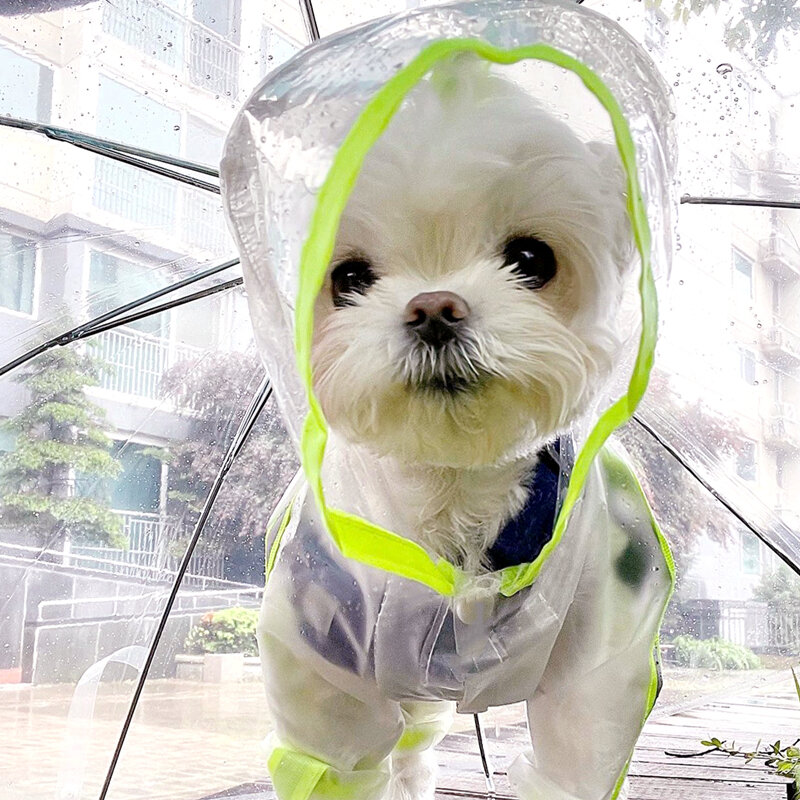 Áo mưa chú chó con trong suốt áo mưa dụng cụ thần thánh ngày mưa thú cưng chó con bomei bichon teddy bọc toàn bộ chống nước bốn chân áo mưa
