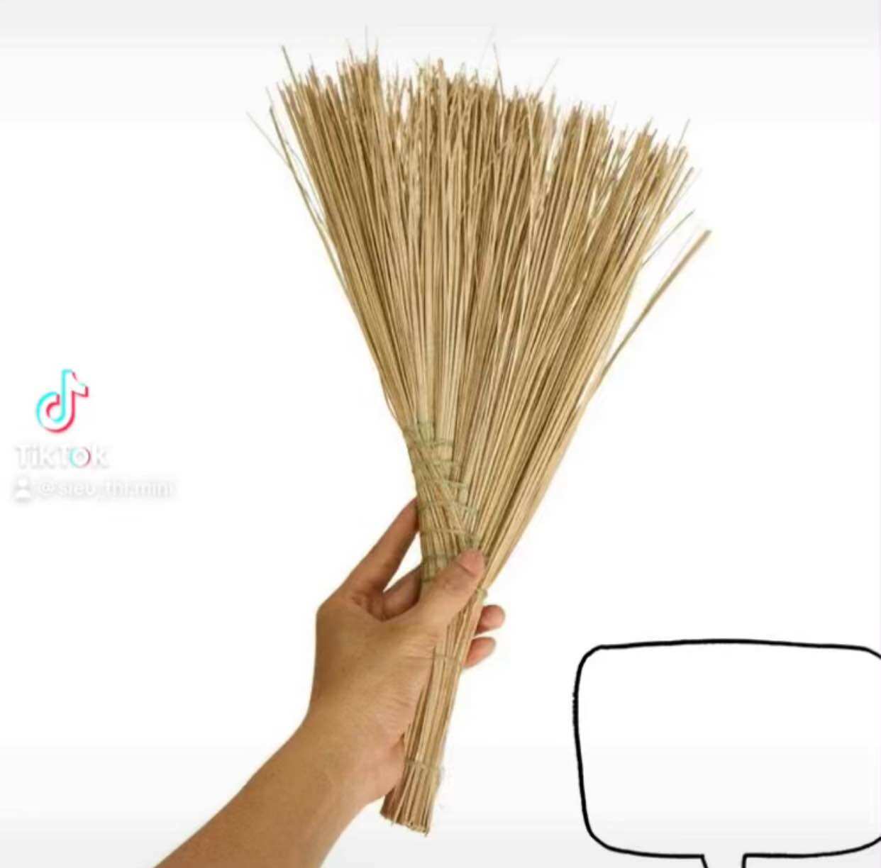 Chổi chà quét sân mini