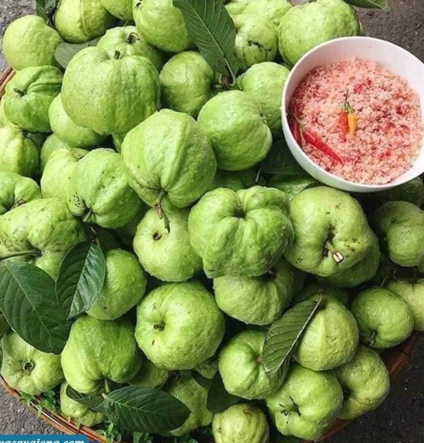Ổi nữ hoàng 1kg