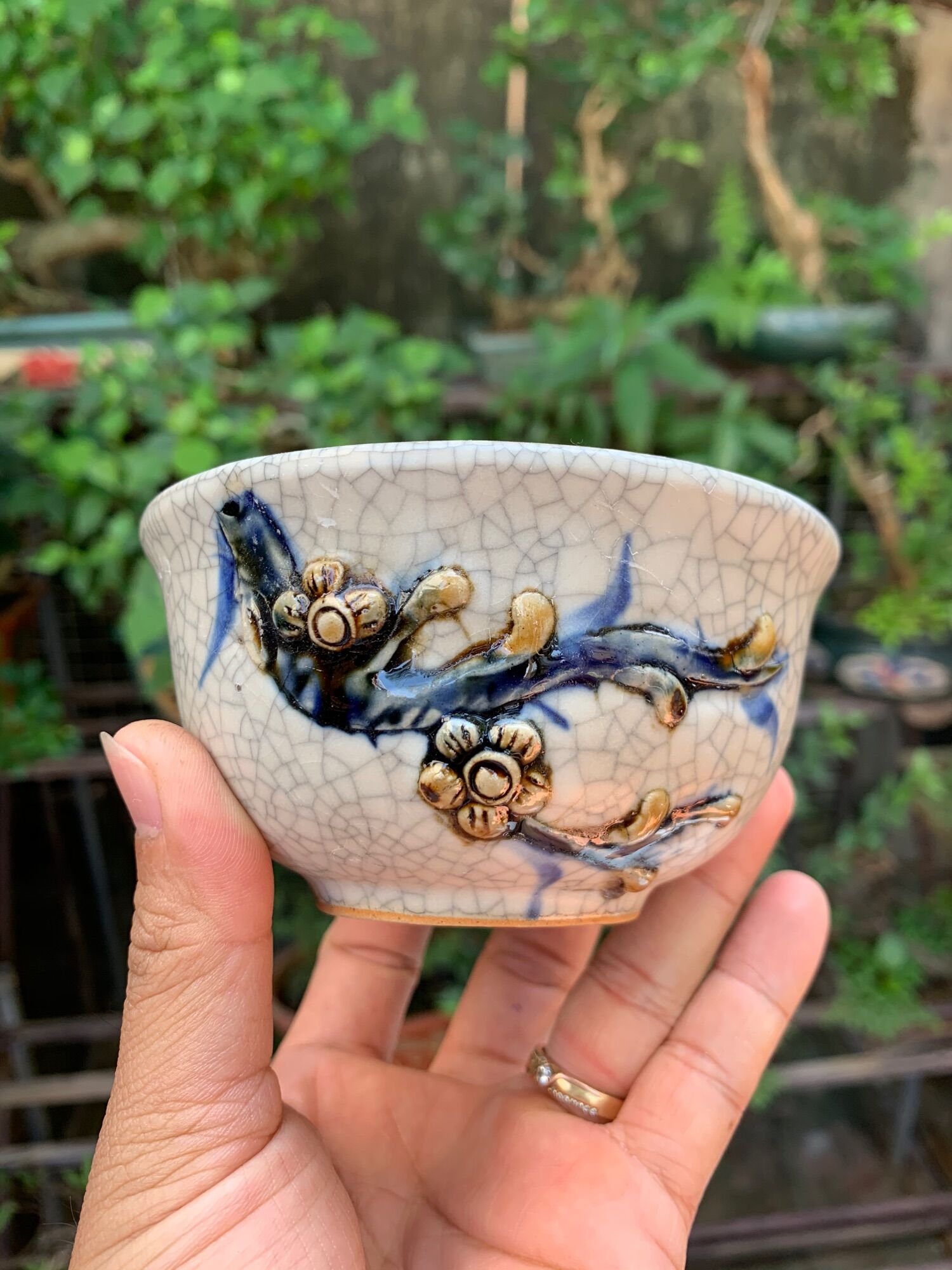Chậu trồng cây bonsai mini