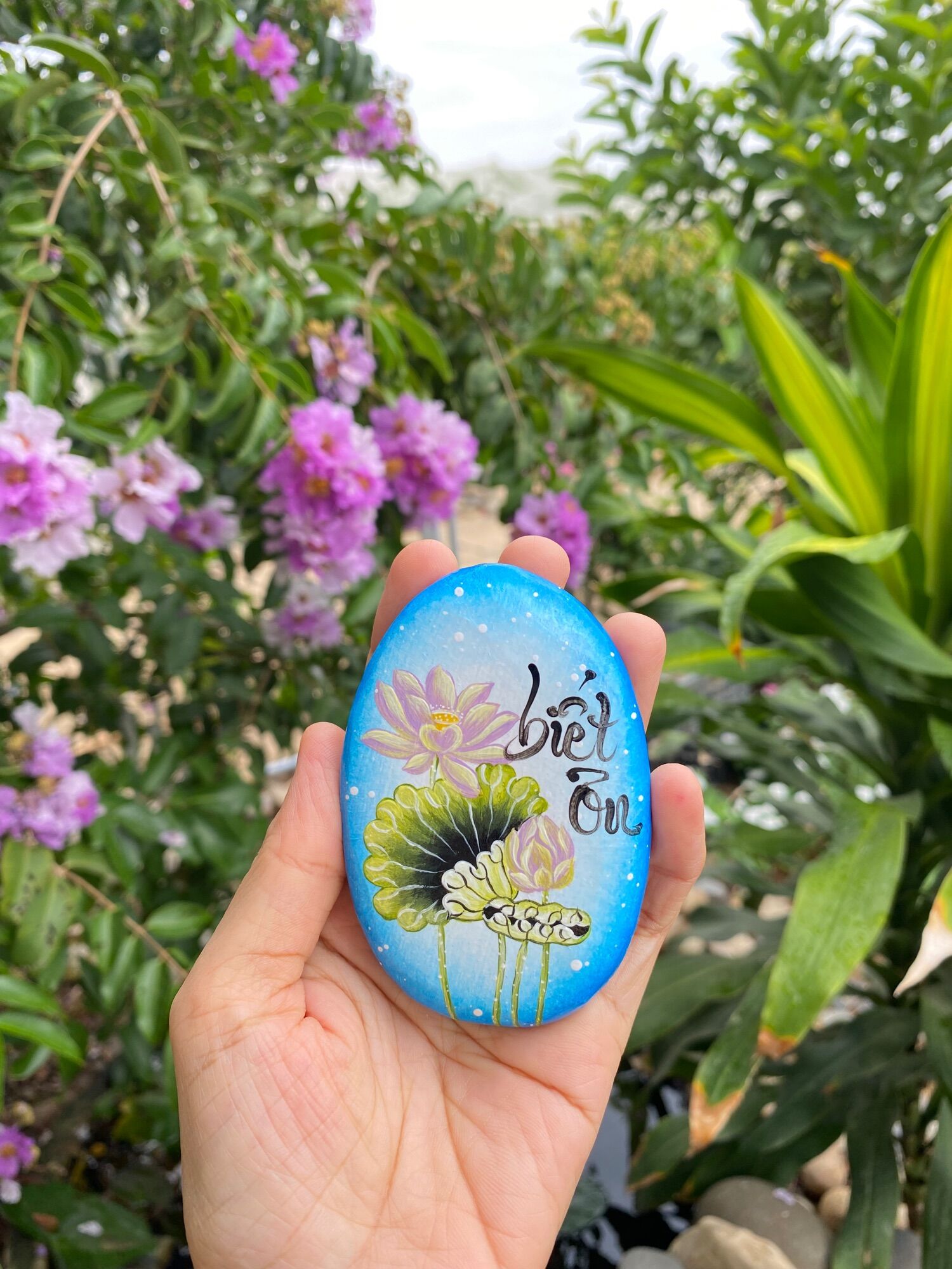 Hòn đá biết ơn mẫu hoa sen