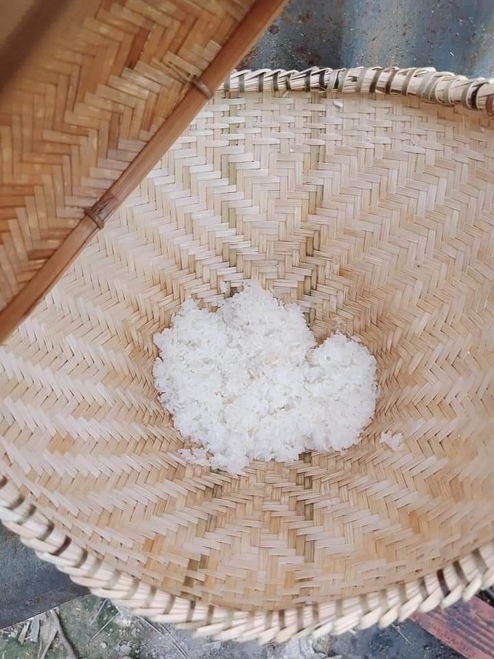 CHÕ HẤP XÔI THÁI LAN