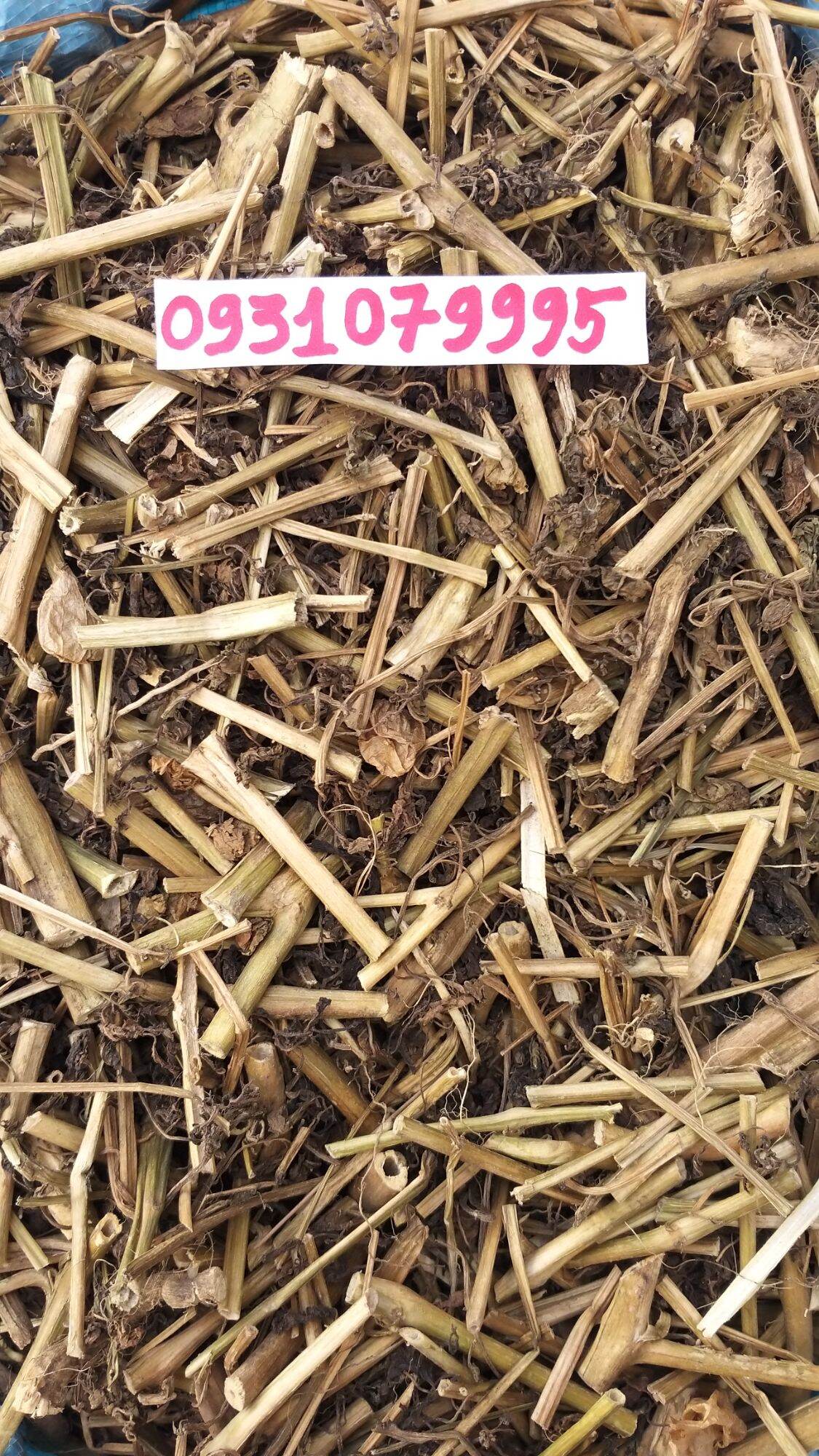 cây tầm bóp - cây thù lù phơi khô 1kg