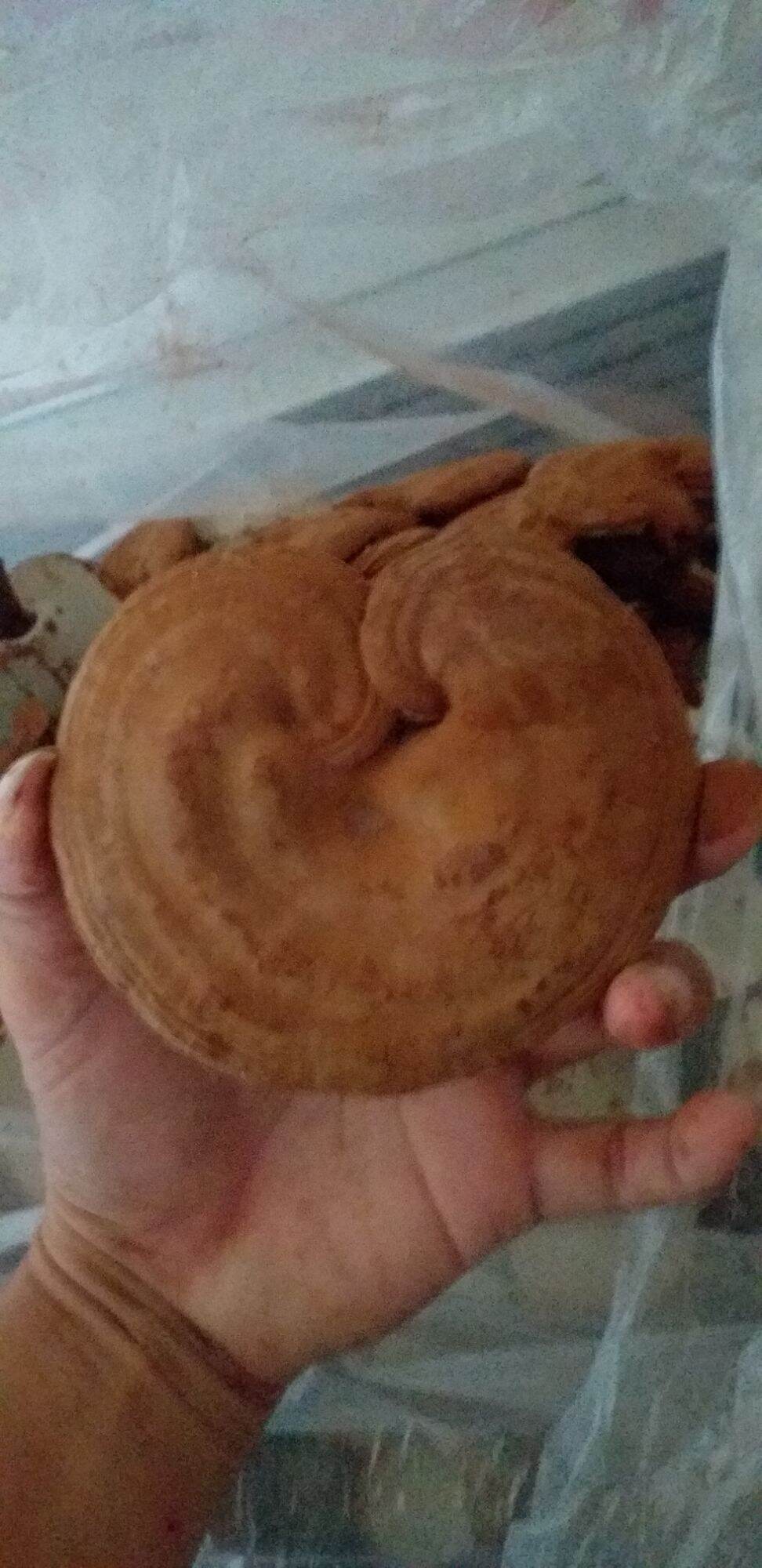 Nấm Linh Chi . Túi 200g