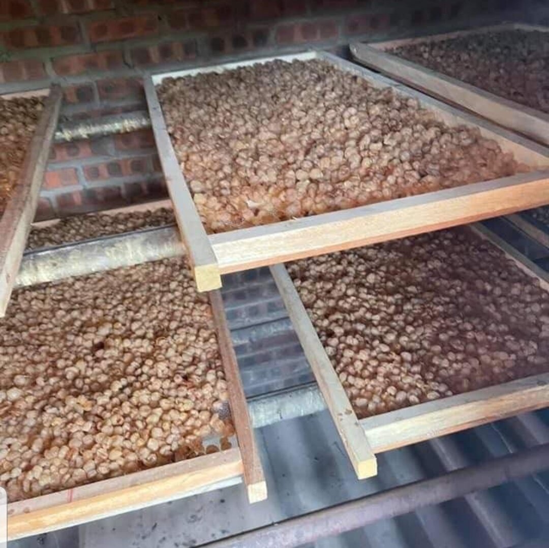 Long nhãn gói 1kg