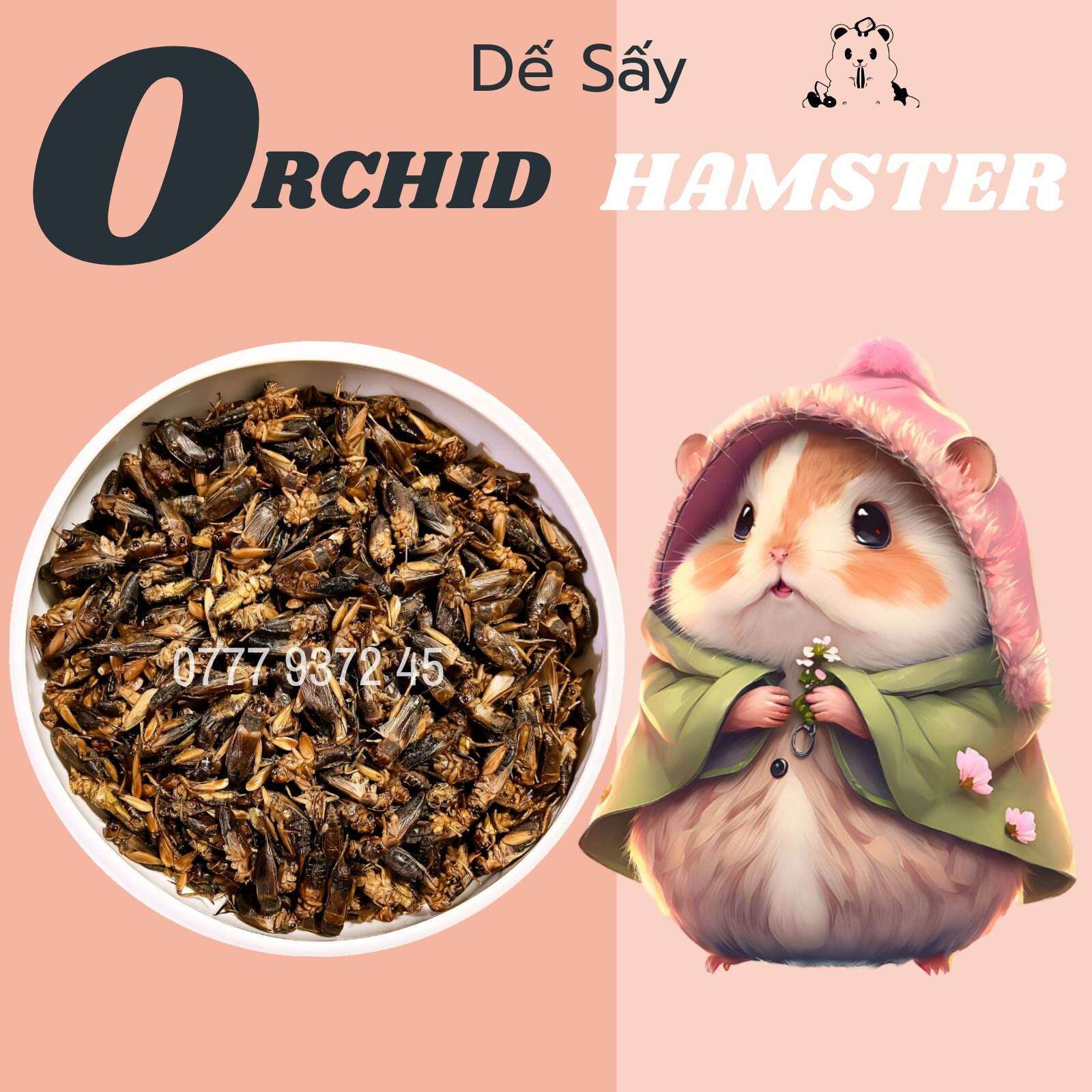 Dế Sấy Khô Dành Cho Hamster