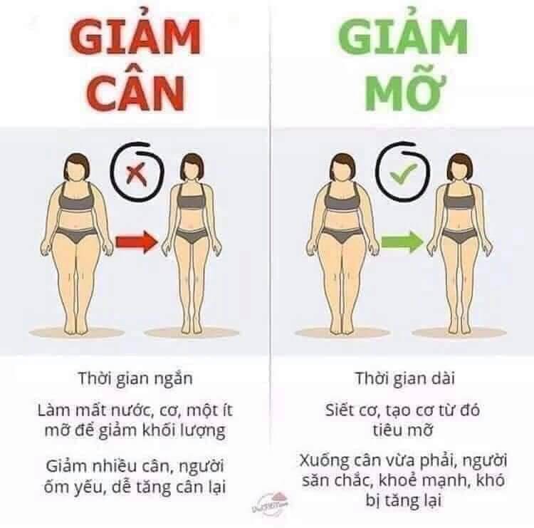 MINCI CONCEPT nội địa Pháp