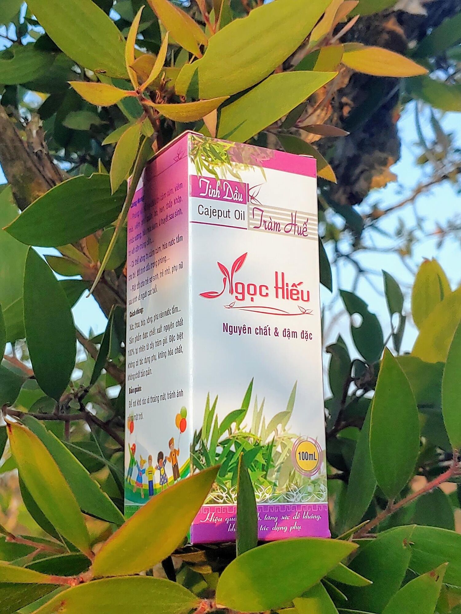 Tinh dầu tràm nguyên chất 100ml - Ngọc Hiếu
