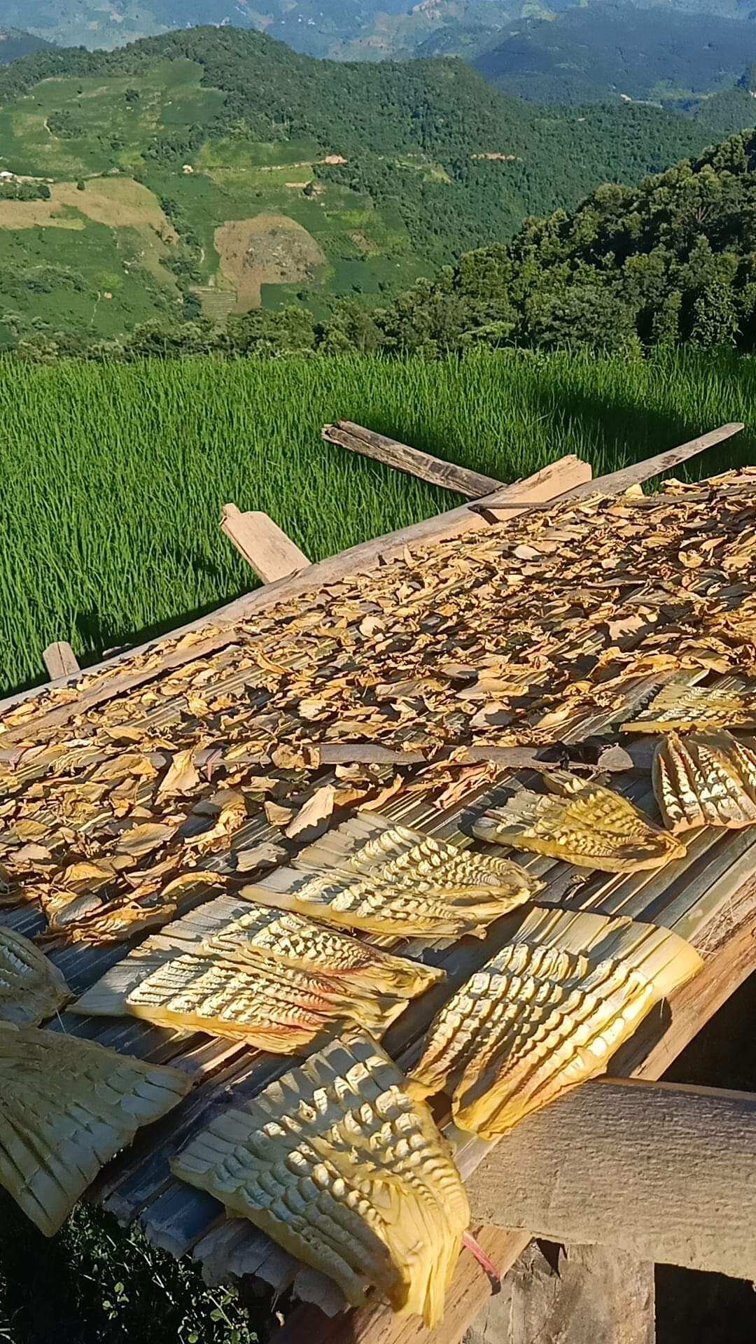 măng khô Tây Bắc, 500g