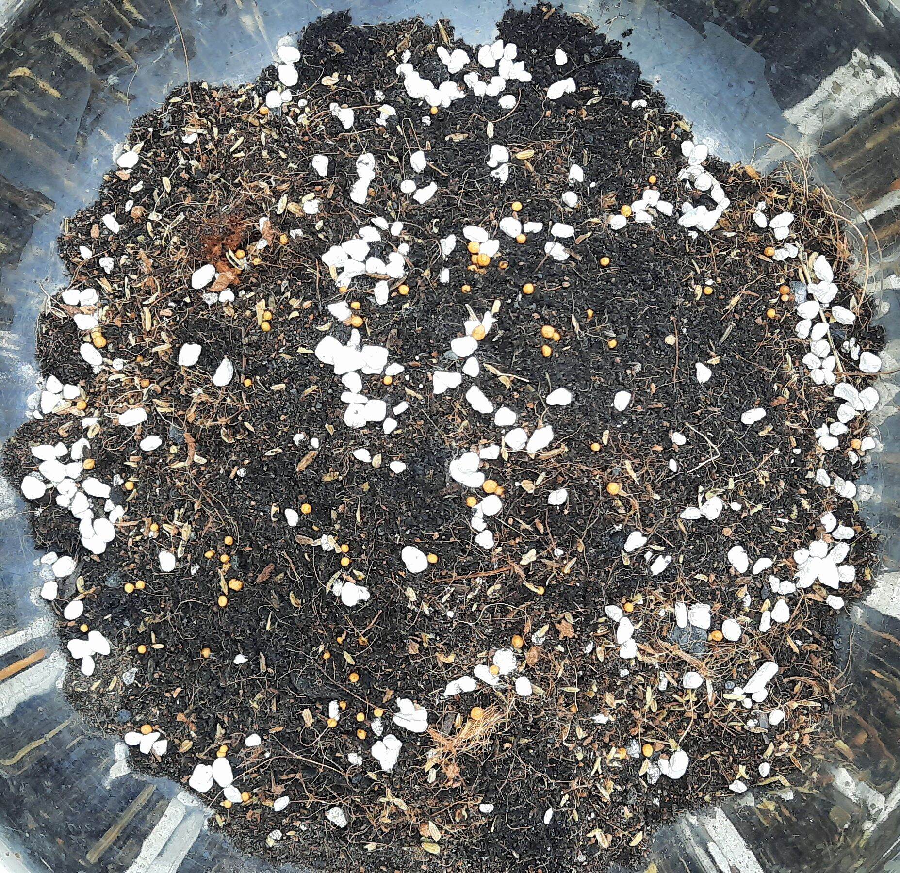 Đất trộn trồng sen đá 500g