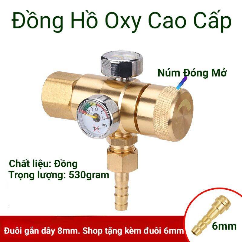 ( Dùng cho bình khí Nito Việt Nam) Đồng hồ Nito_Van giảm áp Nito Cao Cấp