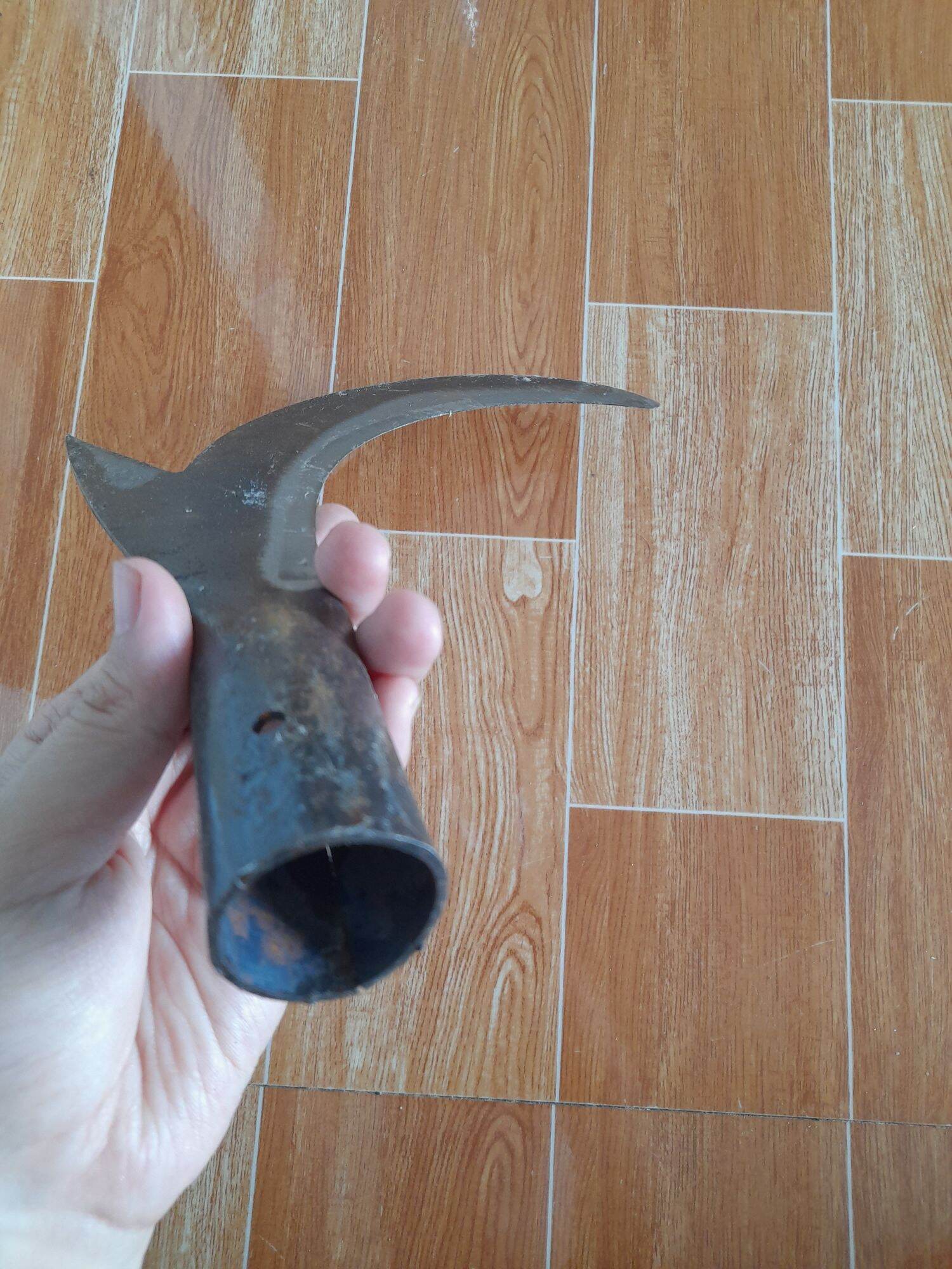 cu liêm đực dừa dụng cụ làm vườn