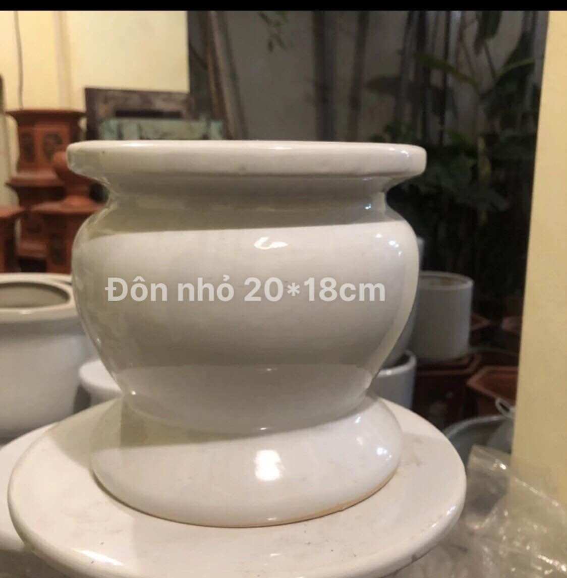 Đôn sứ kê chậu cây