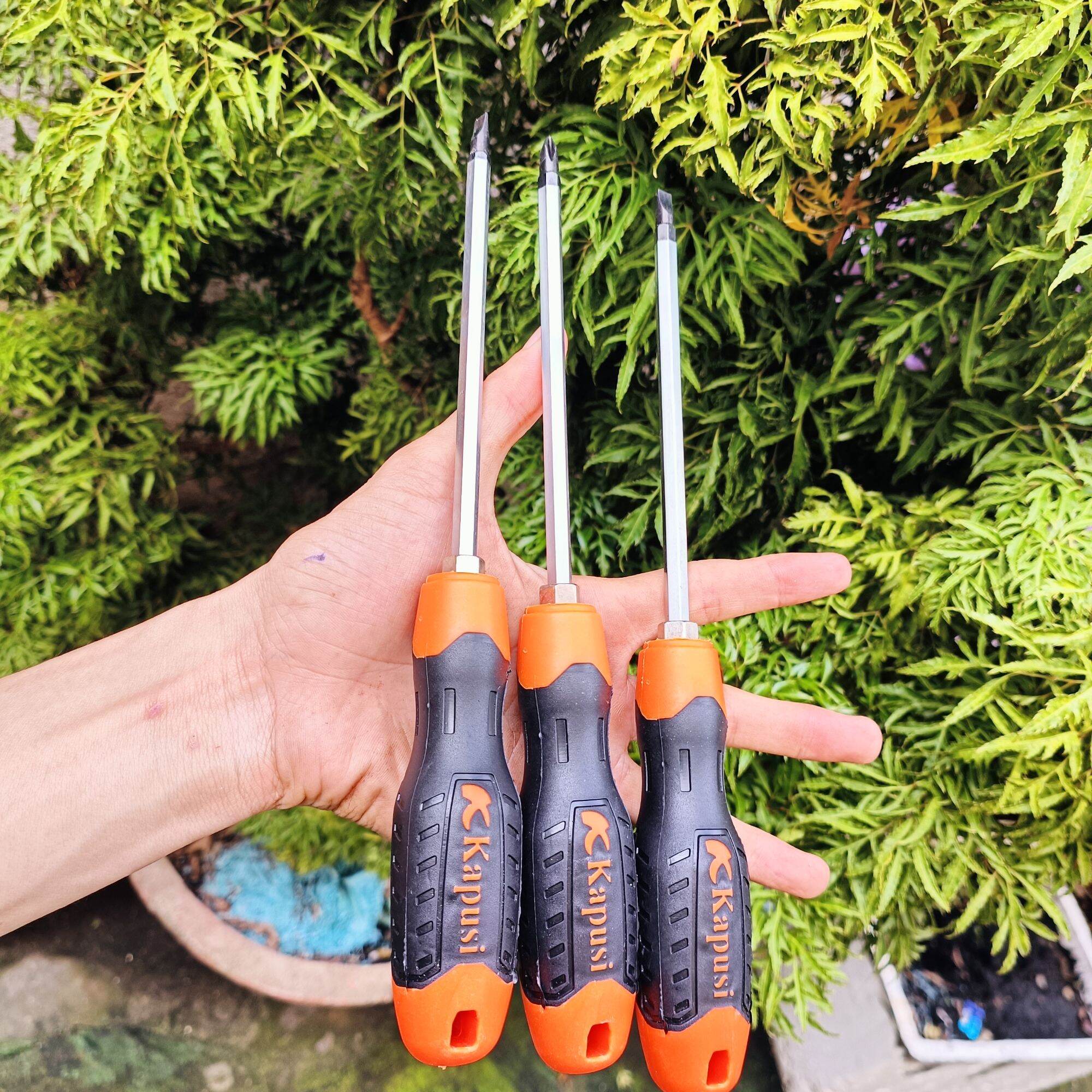 Tu vít 2 đầu kapusi  hoặc  tu  vít gai