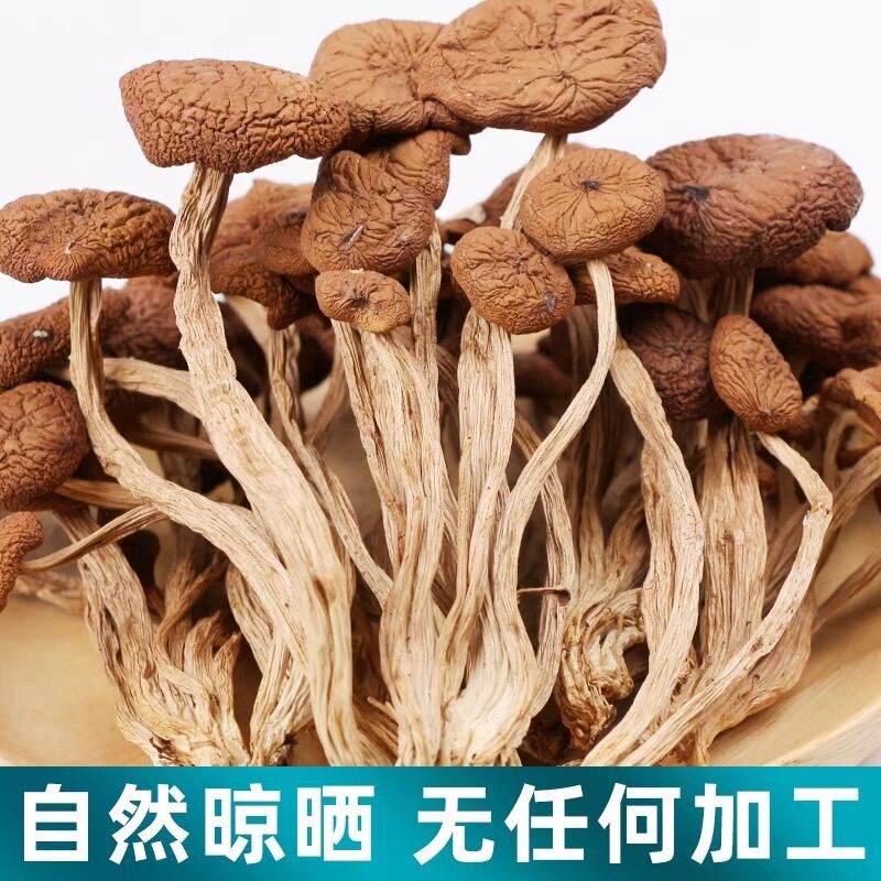 Nấm trà thụ 250g 茶树菇250g