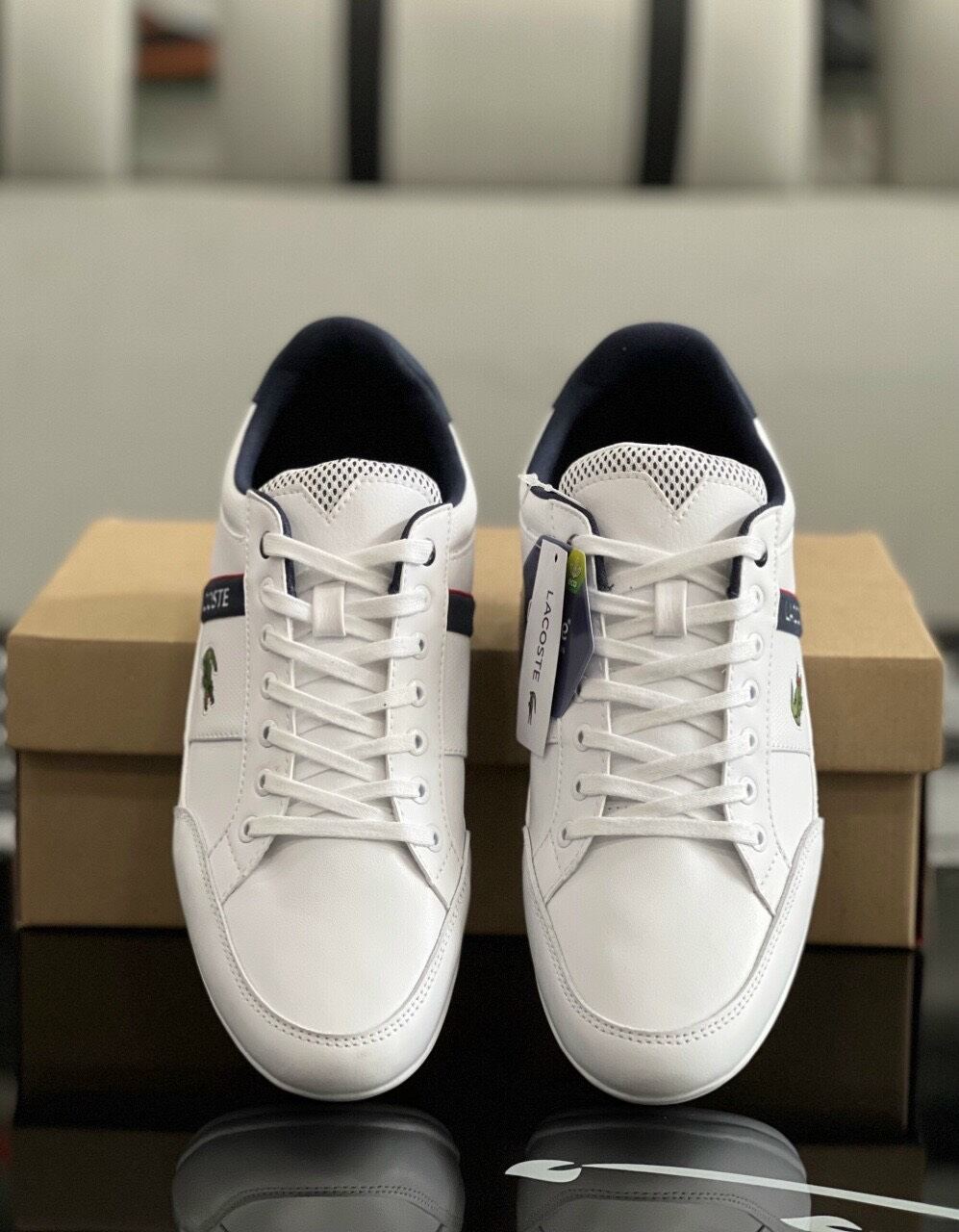 Giày lacoste nam
